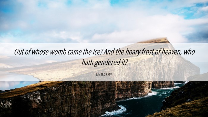 Picture 06 - Job 38:29 ASV Desktop Wallpaper - Out of whose womb came the ice? And the hoary - Desktop Bible Verse Wallpaper