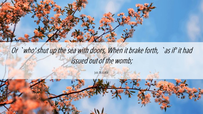 Picture 06 - Job 38:8 ASV Desktop Wallpaper - Or `who' shut up the sea with doors, When it - Desktop Bible Verse Wallpaper