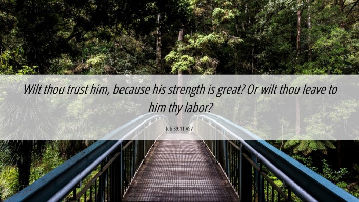 Picture 06 - Job 39:11 ASV Desktop Wallpaper - Wilt thou trust him, because his strength is - Desktop Bible Verse Wallpaper