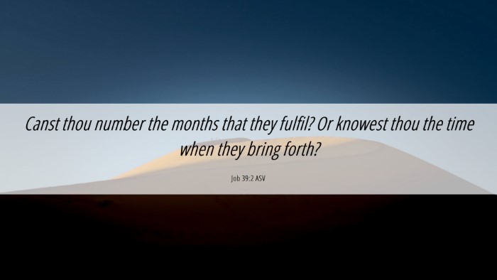 Picture 06 - Job 39:2 ASV Desktop Wallpaper - Canst thou number the months that they fulfil? Or - Desktop Bible Verse Wallpaper
