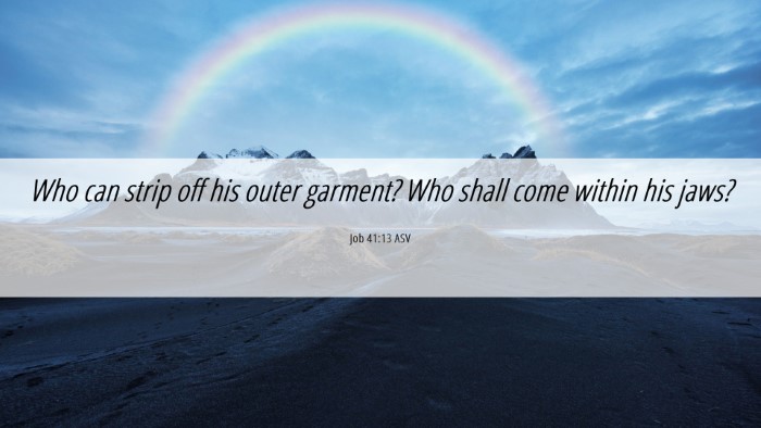 Picture 06 - Job 41:13 ASV Desktop Wallpaper - Who can strip off his outer garment? Who shall - Desktop Bible Verse Wallpaper
