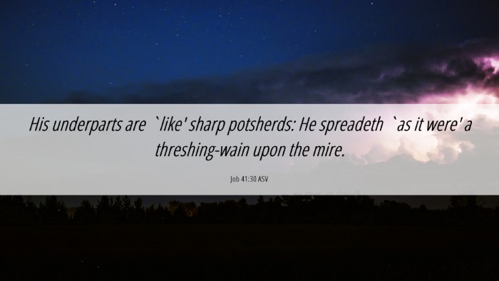 Picture 06 - Job 41:30 ASV Desktop Wallpaper - His underparts are `like' sharp potsherds: He - Desktop Bible Verse Wallpaper