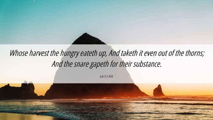 Picture 06 - Job 5:5 ASV Desktop Wallpaper - Whose harvest the hungry eateth up, And taketh it - Desktop Bible Verse Wallpaper