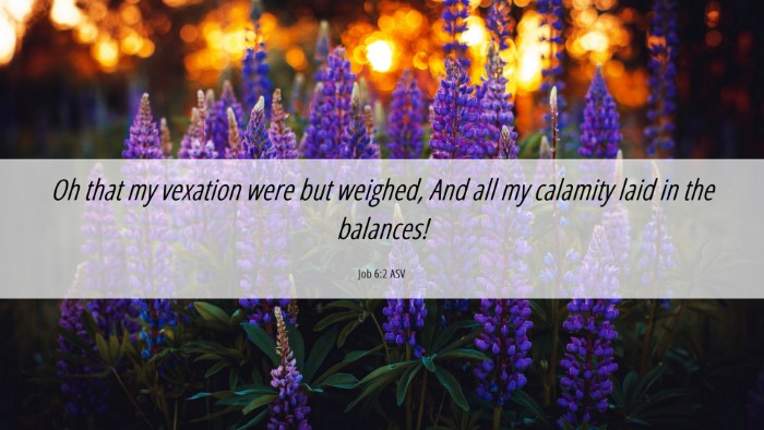 Picture 06 - Job 6:2 ASV Desktop Wallpaper - Oh that my vexation were but weighed, And all my - Desktop Bible Verse Wallpaper