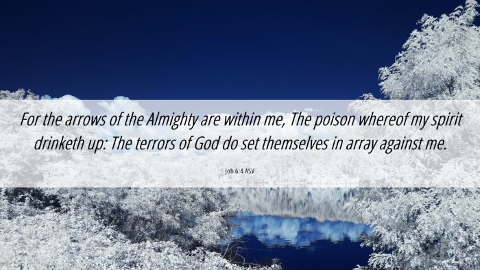 Picture 06 - Job 6:4 ASV Desktop Wallpaper - For the arrows of the Almighty are within me, The - Desktop Bible Verse Wallpaper