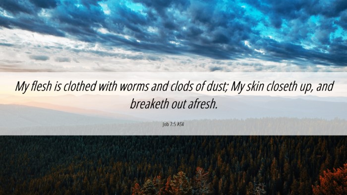 Picture 06 - Job 7:5 ASV Desktop Wallpaper - My flesh is clothed with worms and clods of dust; - Desktop Bible Verse Wallpaper