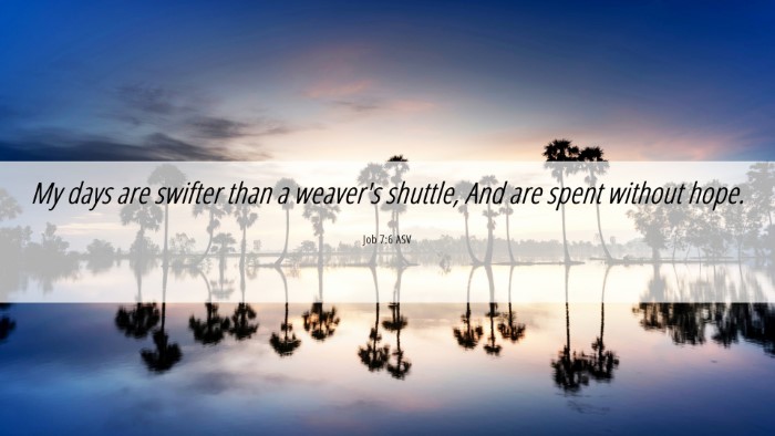 Picture 06 - Job 7:6 ASV Desktop Wallpaper - My days are swifter than a weaver's shuttle, And - Desktop Bible Verse Wallpaper