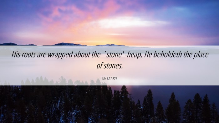 Picture 06 - Job 8:17 ASV Desktop Wallpaper - His roots are wrapped about the `stone' -heap, He - Desktop Bible Verse Wallpaper