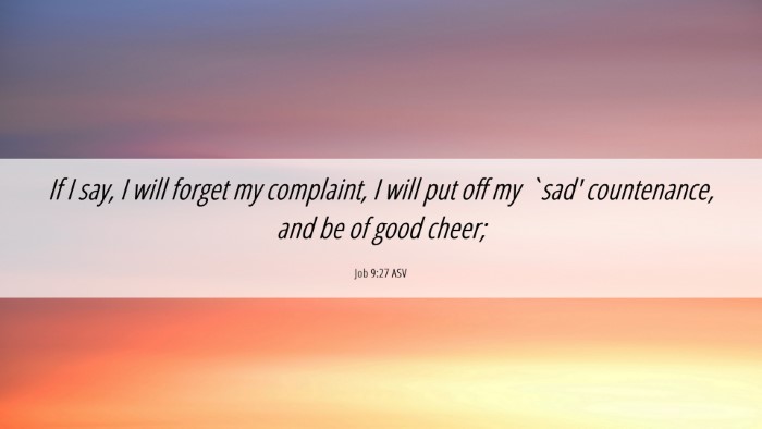 Picture 06 - Job 9:27 ASV Desktop Wallpaper - If I say, I will forget my complaint, I will put - Desktop Bible Verse Wallpaper