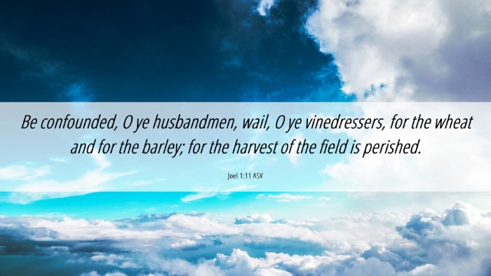 Picture 06 - Joel 1:11 ASV Desktop Wallpaper - Be confounded, O ye husbandmen, wail, O ye - Desktop Bible Verse Wallpaper