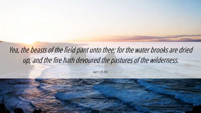 Picture 06 - Joel 1:20 ASV Desktop Wallpaper - Yea, the beasts of the field pant unto thee; for - Desktop Bible Verse Wallpaper