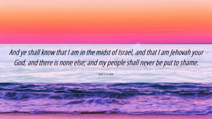 Picture 06 - Joel 2:27 ASV Desktop Wallpaper - And ye shall know that I am in the midst of - Desktop Bible Verse Wallpaper