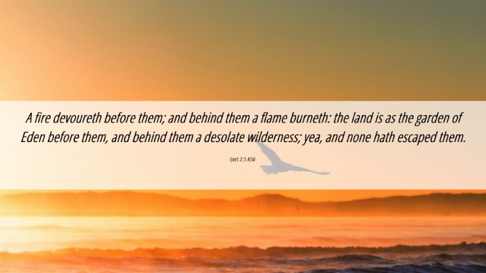Picture 06 - Joel 2:3 ASV Desktop Wallpaper - A fire devoureth before them; and behind them a - Desktop Bible Verse Wallpaper