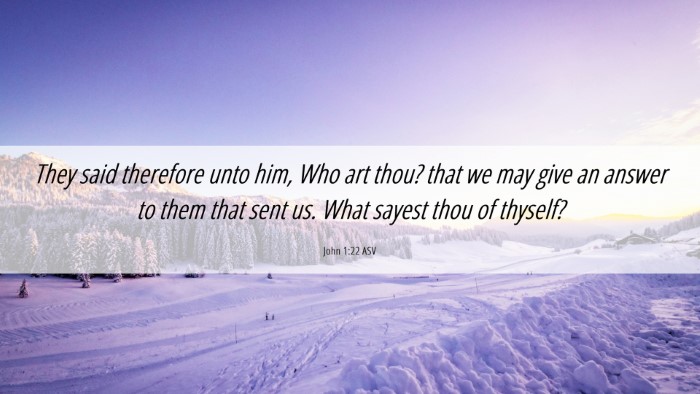 Picture 06 - John 1:22 ASV Desktop Wallpaper - They said therefore unto him, Who art thou? that - Desktop Bible Verse Wallpaper