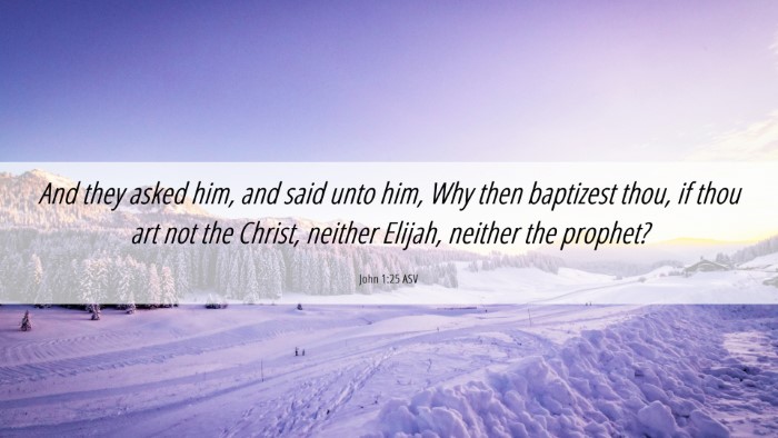Picture 06 - John 1:25 ASV Desktop Wallpaper - And they asked him, and said unto him, Why then - Desktop Bible Verse Wallpaper