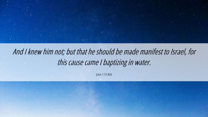 Picture 06 - John 1:31 ASV Desktop Wallpaper - And I knew him not; but that he should be made - Desktop Bible Verse Wallpaper