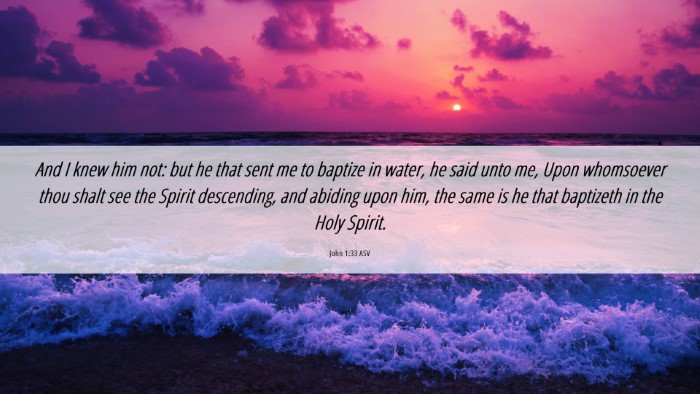 Picture 06 - John 1:33 ASV Desktop Wallpaper - And I knew him not: but he that sent me to - Desktop Bible Verse Wallpaper