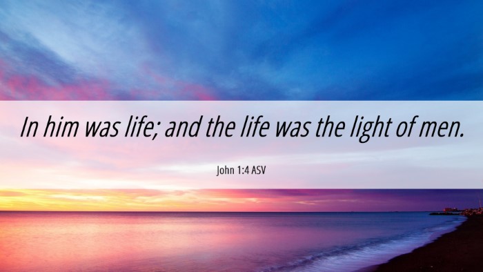 Picture 06 - John 1:4 ASV Desktop Wallpaper - In him was life; and the life was the light of - Desktop Bible Verse Wallpaper
