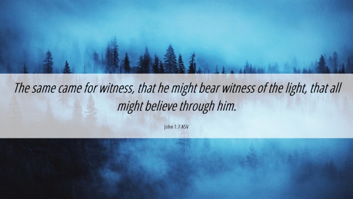 Picture 06 - John 1:7 ASV Desktop Wallpaper - The same came for witness, that he might bear - Desktop Bible Verse Wallpaper
