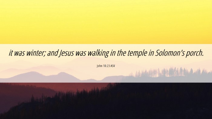 Picture 06 - John 10:23 ASV Desktop Wallpaper - it was winter; and Jesus was walking in the - Desktop Bible Verse Wallpaper