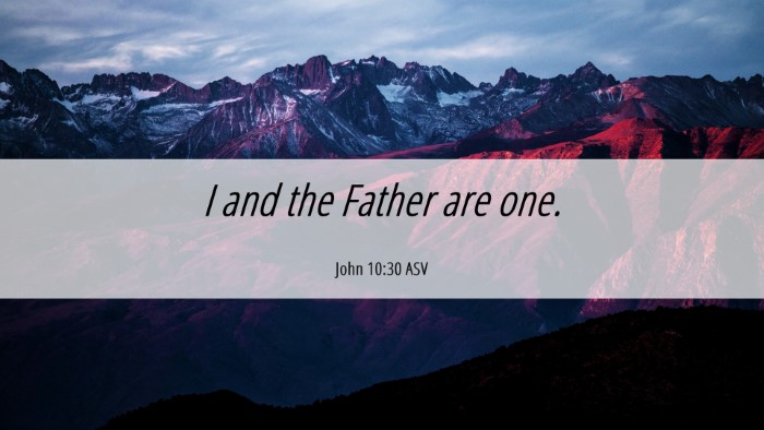 Picture 06 - John 10:30 ASV Desktop Wallpaper - I and the Father are - Desktop Bible Verse Wallpaper
