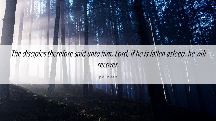 Picture 06 - John 11:12 ASV Desktop Wallpaper - The disciples therefore said unto him, Lord, if - Desktop Bible Verse Wallpaper