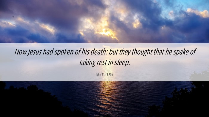 Picture 06 - John 11:13 ASV Desktop Wallpaper - Now Jesus had spoken of his death: but they - Desktop Bible Verse Wallpaper