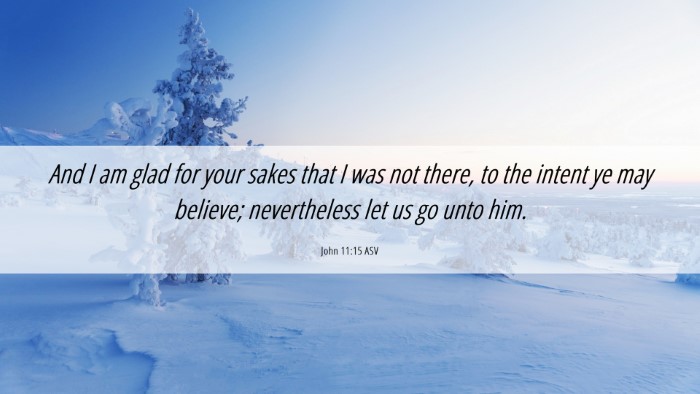 Picture 06 - John 11:15 ASV Desktop Wallpaper - And I am glad for your sakes that I was not - Desktop Bible Verse Wallpaper
