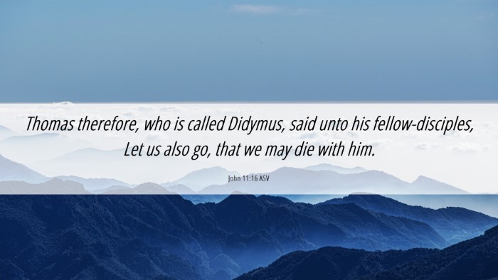Picture 06 - John 11:16 ASV Desktop Wallpaper - Thomas therefore, who is called Didymus, said - Desktop Bible Verse Wallpaper
