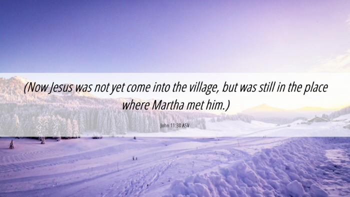 Picture 06 - John 11:30 ASV Desktop Wallpaper - (Now Jesus was not yet come into the village, but - Desktop Bible Verse Wallpaper