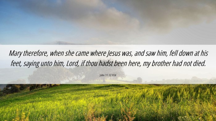 Picture 06 - John 11:32 ASV Desktop Wallpaper - Mary therefore, when she came where Jesus was, - Desktop Bible Verse Wallpaper