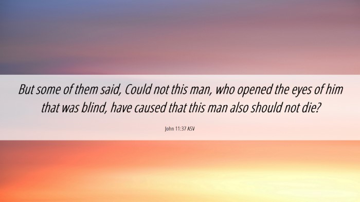 Picture 06 - John 11:37 ASV Desktop Wallpaper - But some of them said, Could not this man, who - Desktop Bible Verse Wallpaper