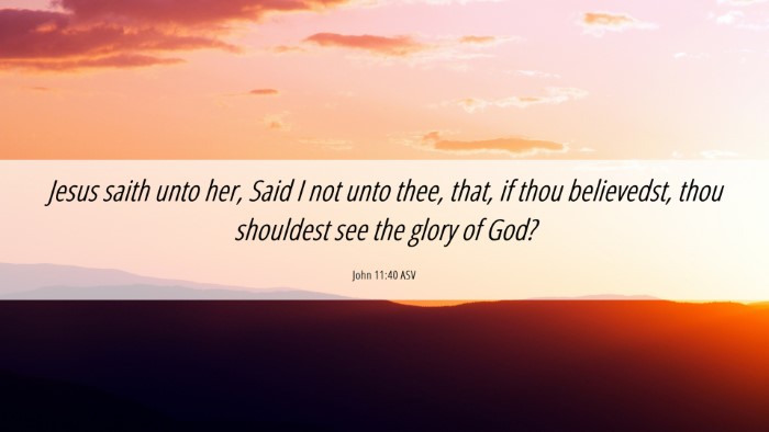 Picture 06 - John 11:40 ASV Desktop Wallpaper - Jesus saith unto her, Said I not unto thee, that, - Desktop Bible Verse Wallpaper