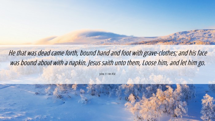 Picture 06 - John 11:44 ASV Desktop Wallpaper - He that was dead came forth, bound hand and foot - Desktop Bible Verse Wallpaper