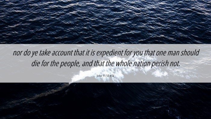 Picture 06 - John 11:50 ASV Desktop Wallpaper - nor do ye take account that it is expedient for - Desktop Bible Verse Wallpaper