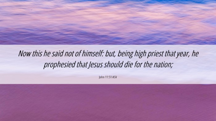 Picture 06 - John 11:51 ASV Desktop Wallpaper - Now this he said not of himself: but, being high - Desktop Bible Verse Wallpaper