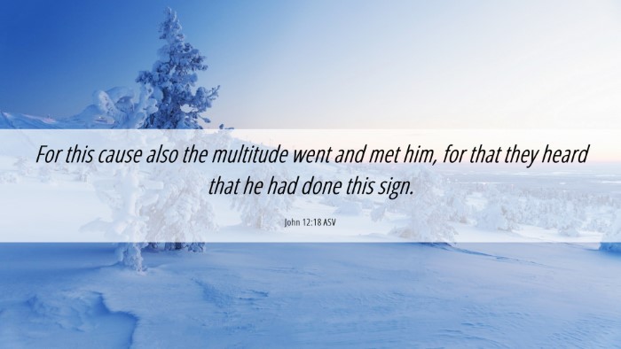 Picture 06 - John 12:18 ASV Desktop Wallpaper - For this cause also the multitude went and met - Desktop Bible Verse Wallpaper