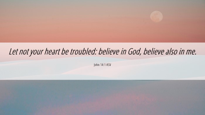 Picture 06 - John 14:1 ASV Desktop Wallpaper - Let not your heart be troubled: believe in God, - Desktop Bible Verse Wallpaper