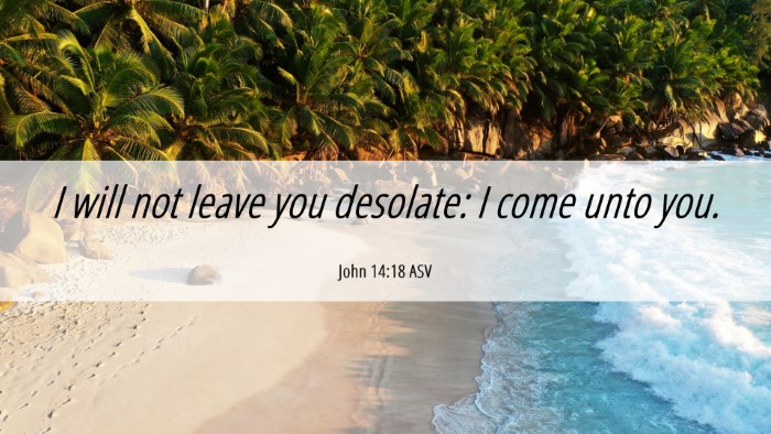 Picture 06 - John 14:18 ASV Desktop Wallpaper - I will not leave you desolate: I come unto - Desktop Bible Verse Wallpaper