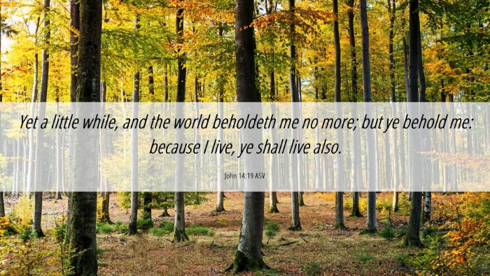 Picture 06 - John 14:19 ASV Desktop Wallpaper - Yet a little while, and the world beholdeth me no - Desktop Bible Verse Wallpaper