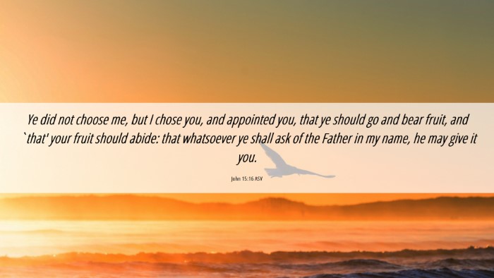 Picture 06 - John 15:16 ASV Desktop Wallpaper - Ye did not choose me, but I chose you, and - Desktop Bible Verse Wallpaper