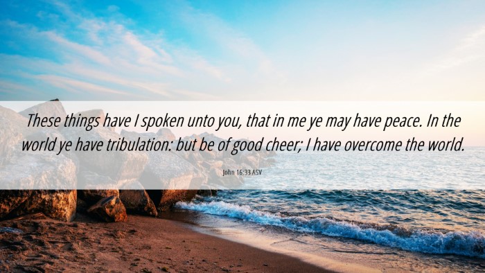 Picture 06 - John 16:33 ASV Desktop Wallpaper - These things have I spoken unto you, that in me - Desktop Bible Verse Wallpaper