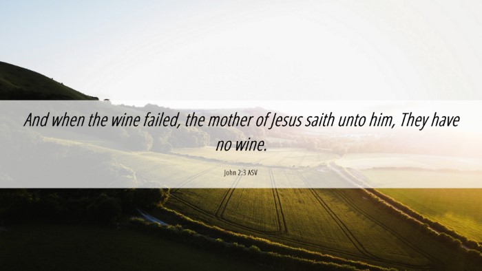 Picture 06 - John 2:3 ASV Desktop Wallpaper - And when the wine failed, the mother of Jesus - Desktop Bible Verse Wallpaper