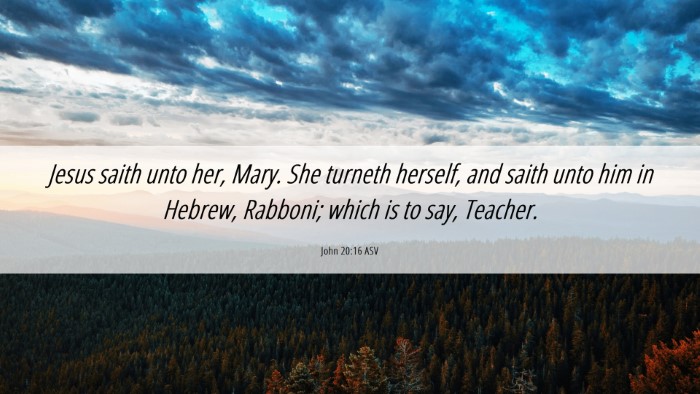 Picture 06 - John 20:16 ASV Desktop Wallpaper - Jesus saith unto her, Mary. She turneth herself, - Desktop Bible Verse Wallpaper