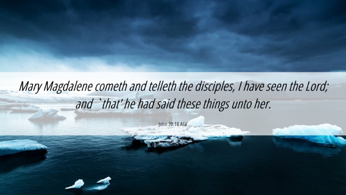 Picture 06 - John 20:18 ASV Desktop Wallpaper - Mary Magdalene cometh and telleth the disciples, - Desktop Bible Verse Wallpaper