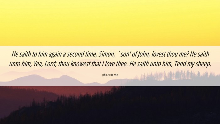 Picture 06 - John 21:16 ASV Desktop Wallpaper - He saith to him again a second time, Simon, `son' - Desktop Bible Verse Wallpaper