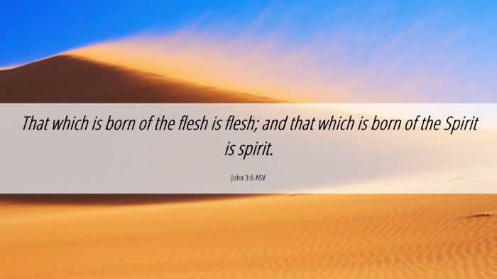 Picture 06 - John 3:6 ASV Desktop Wallpaper - That which is born of the flesh is flesh; and - Desktop Bible Verse Wallpaper
