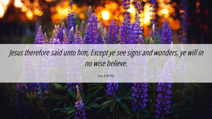 Picture 06 - John 4:48 ASV Desktop Wallpaper - Jesus therefore said unto him, Except ye see - Desktop Bible Verse Wallpaper