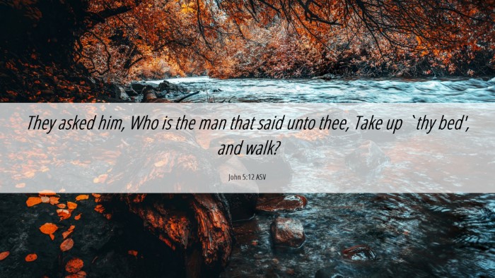 Picture 06 - John 5:12 ASV Desktop Wallpaper - They asked him, Who is the man that said unto - Desktop Bible Verse Wallpaper