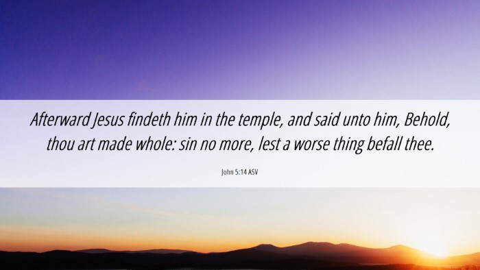 Picture 06 - John 5:14 ASV Desktop Wallpaper - Afterward Jesus findeth him in the temple, and - Desktop Bible Verse Wallpaper